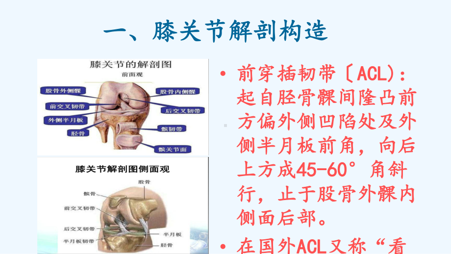 前交叉韧带损伤围手术期护理课件.ppt_第3页