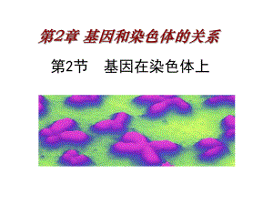 基因在染色体上课件讲义.ppt