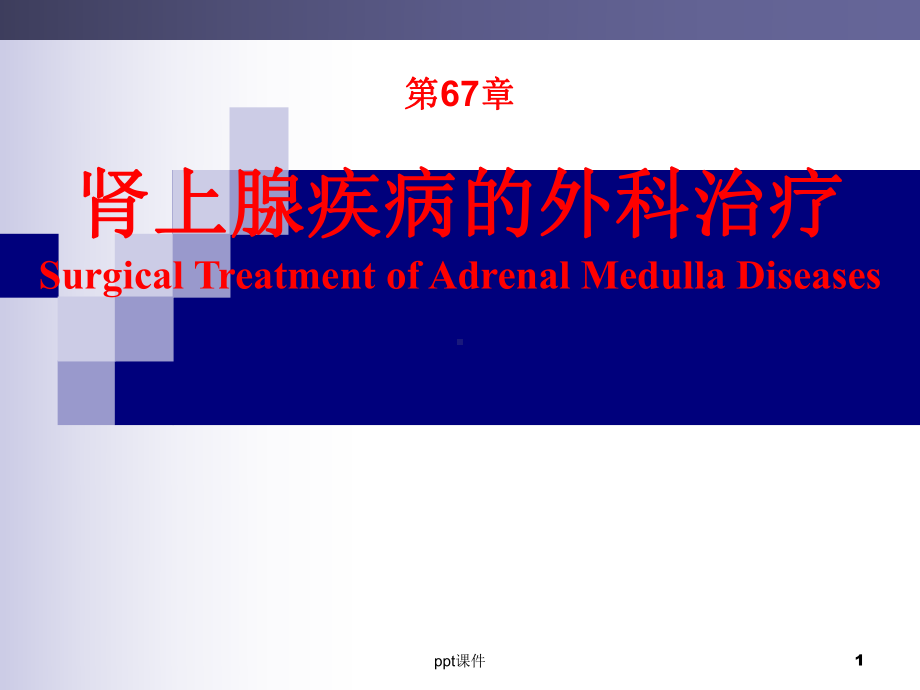 《外科学》肾上腺疾病外科治疗-课件.ppt_第1页