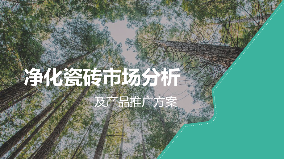 净化负离子瓷砖推广方案.ppt_第1页