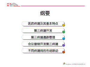 开发药品第三终端的实战技巧课件.ppt