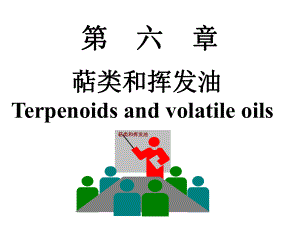 天然药物化学第六章萜及挥发油课件1.ppt