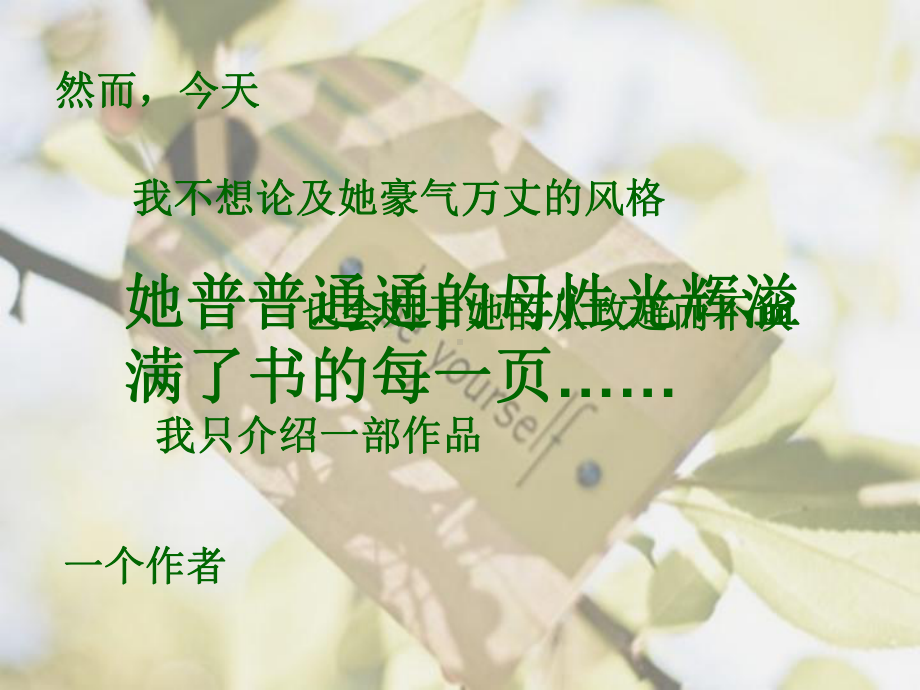 《孩子你慢慢来》书目介绍讲义资料课件.ppt_第3页