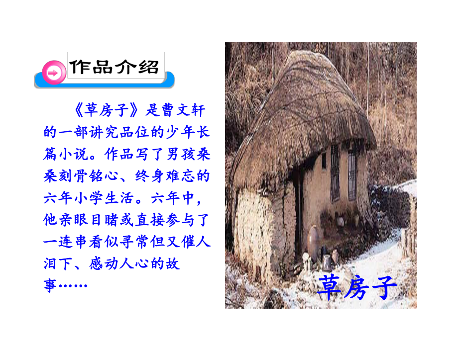 《孤独之旅》课件-公开课.ppt_第3页