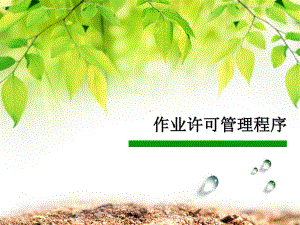 《作业许可管理程序》课件.ppt