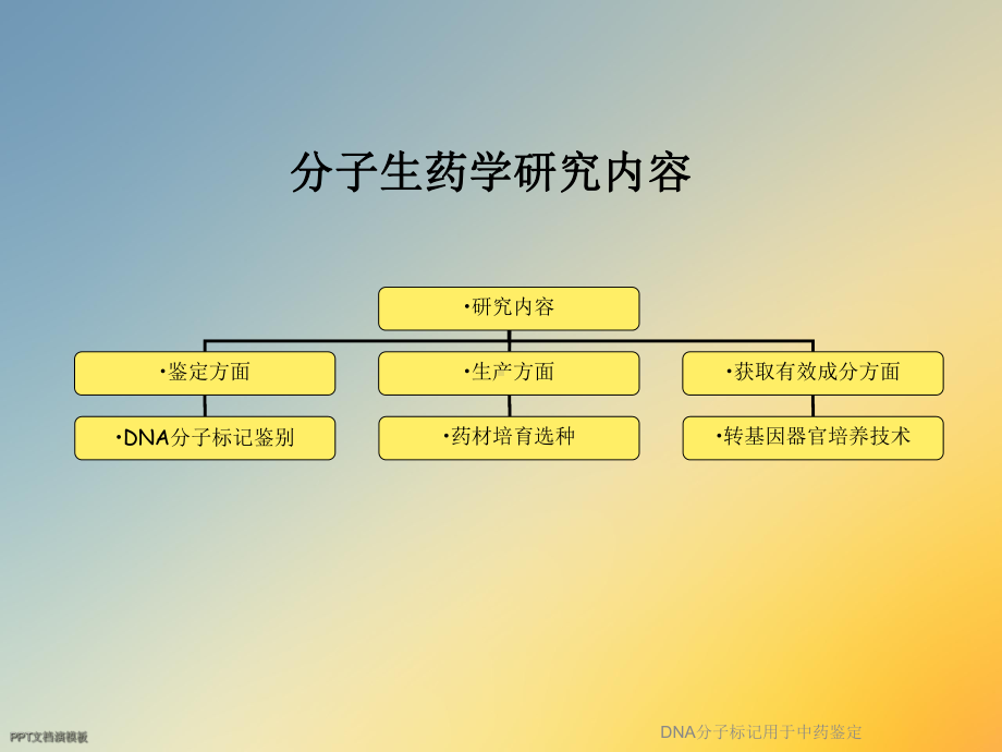 DNA分子标记用于中药鉴定课件.ppt_第3页