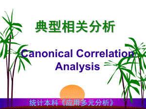 canocorr(典型相关)--资料课件.ppt