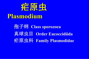 疟原虫医学微生物学41课件.ppt