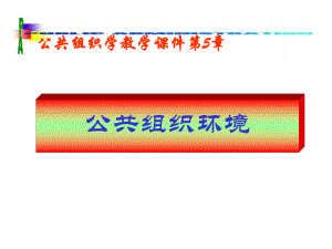 公共组织环境课件.pptx