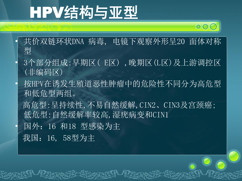 HPV的检测及其临床应用课件.pptx_第2页