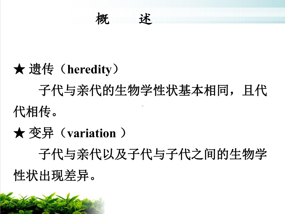 八制第三章细菌的遗传与变异培训课件.ppt_第3页