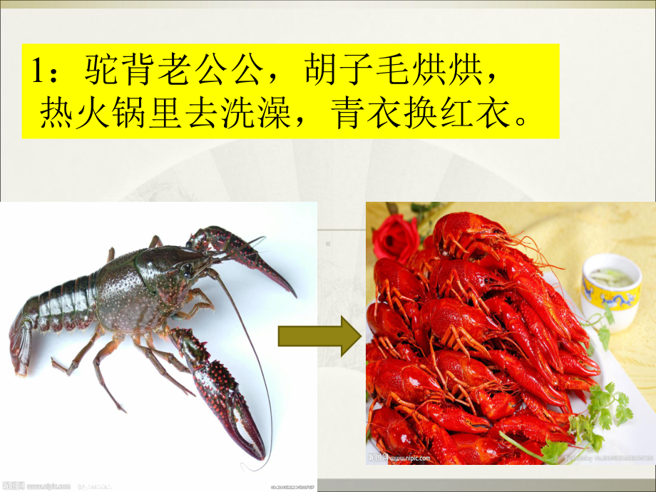 中班语言猜动物谜语课件.ppt_第2页