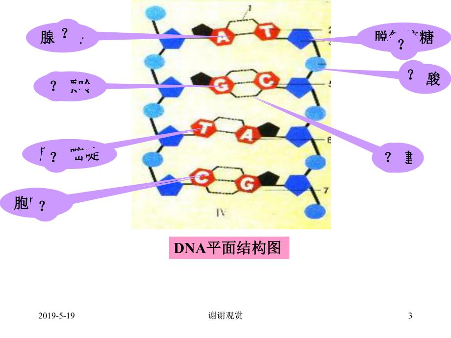 高考专题分析课件.ppt_第3页