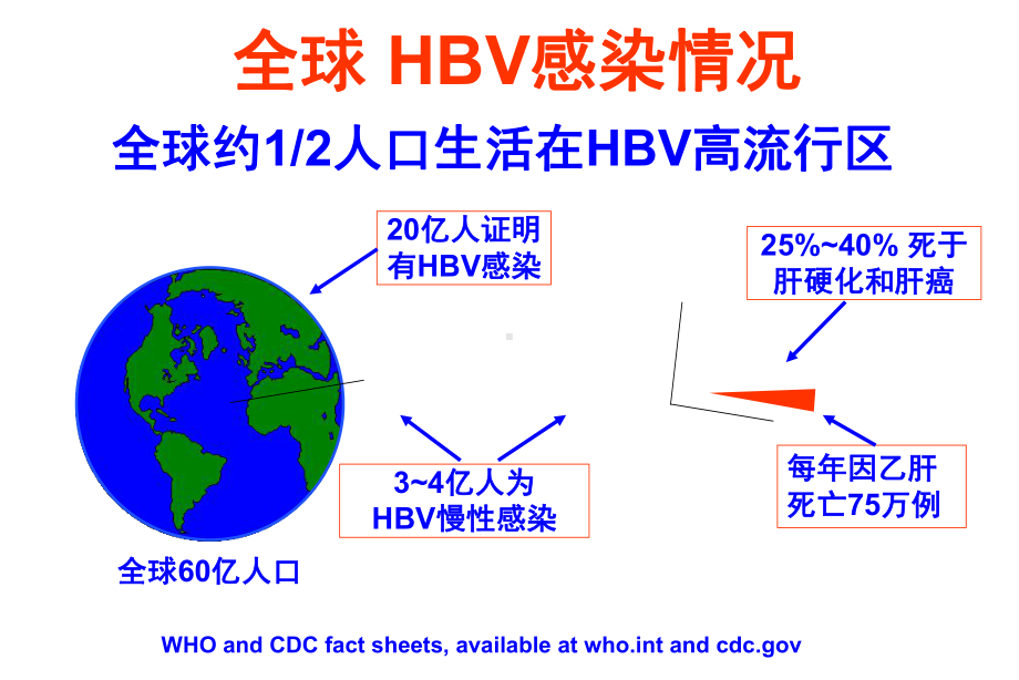 乙型肝炎流行病学课件.ppt_第2页