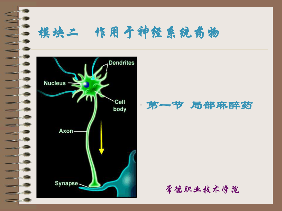 麻醉药发明之前的外科手术课件.ppt_第3页