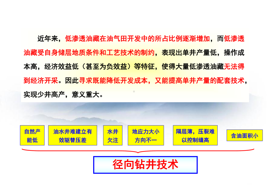 径向钻井技术星宇宣传资料课件.ppt_第2页