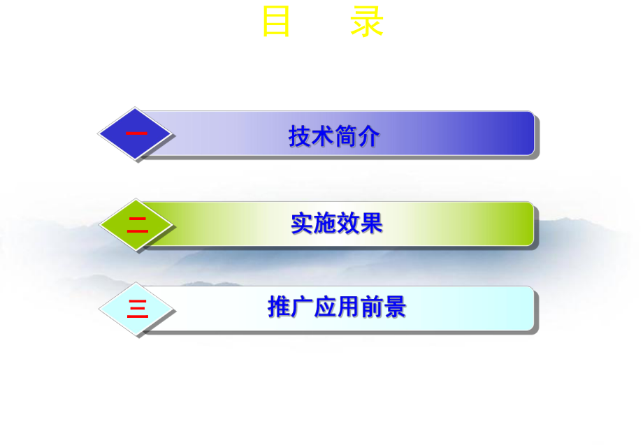 径向钻井技术星宇宣传资料课件.ppt_第3页