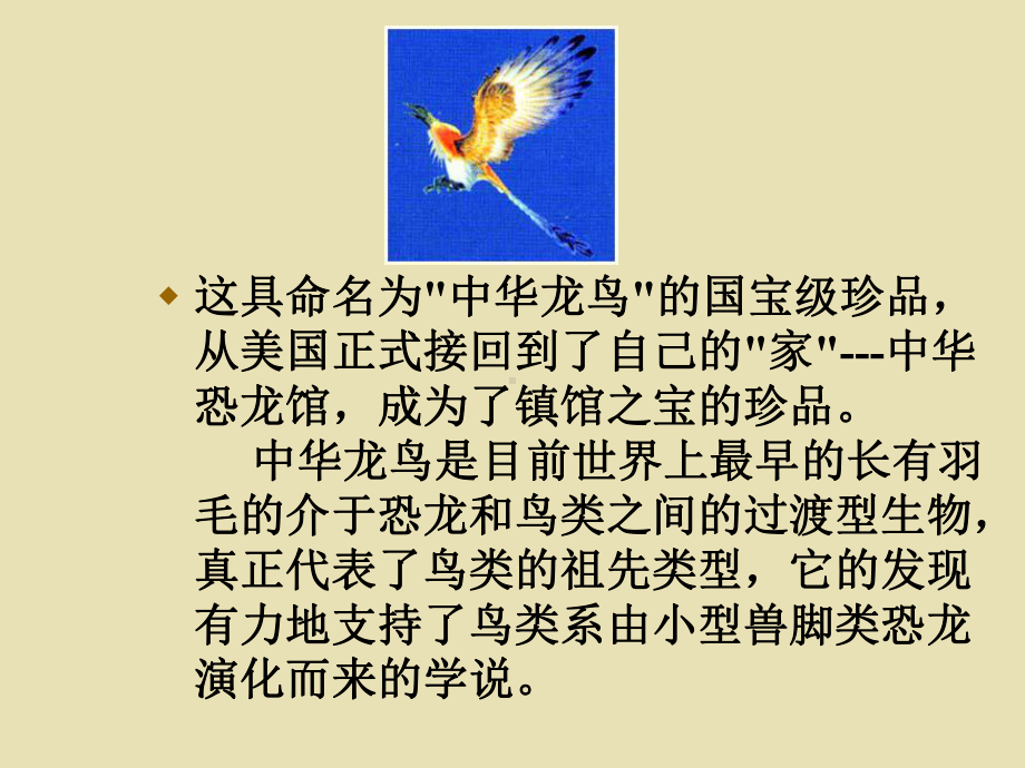 这四节诗是化石说的话安溪金火中学课件.ppt_第3页