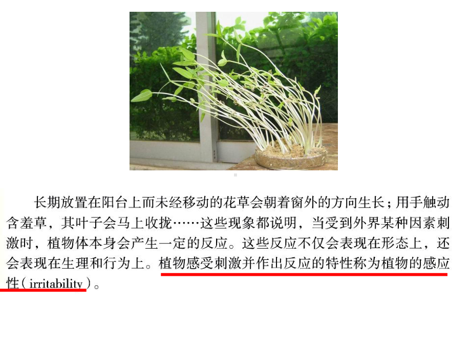 八年级上《植物生命活动的调节》课件浙教版2.ppt_第3页