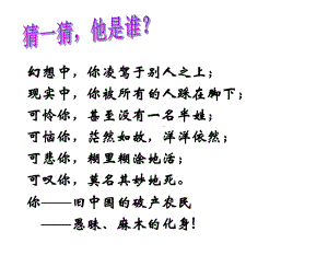 《阿Q正传》节选解析课件.ppt