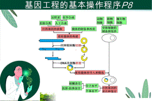 12-2基因表达载体的构建课件.pptx