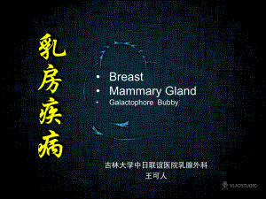 乳房疾病课件文件.ppt