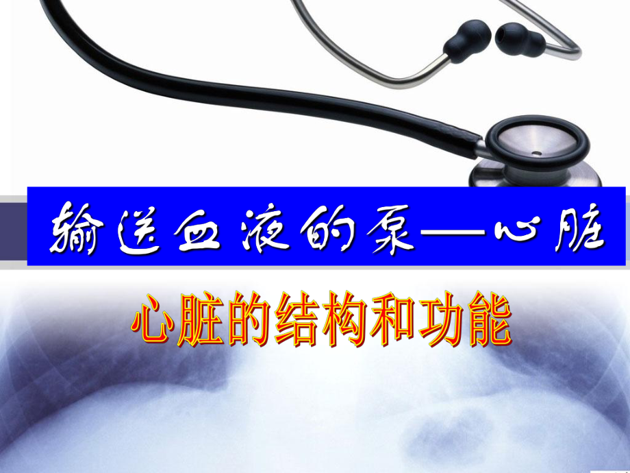 [基础医学]用输送血液的泵-心脏完整版课件.ppt_第3页