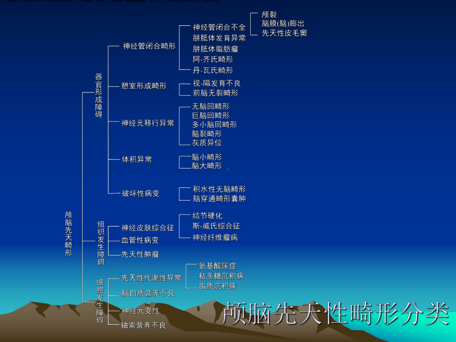 颅脑先天畸形完美版课件.pptx_第3页