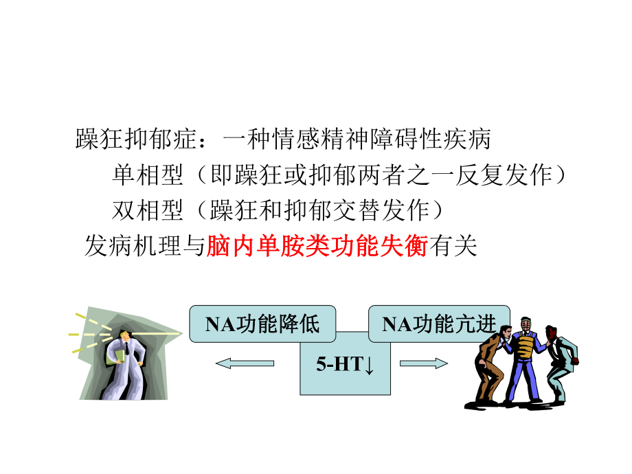 《抗抑郁躁狂药》课件.ppt_第3页