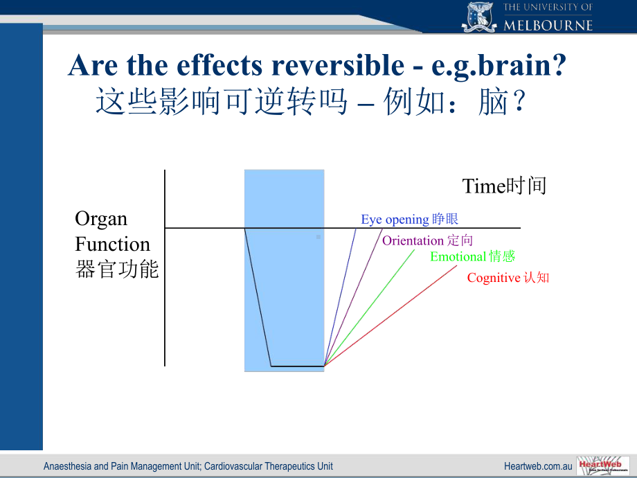 麻醉与器官保护课件.ppt_第3页