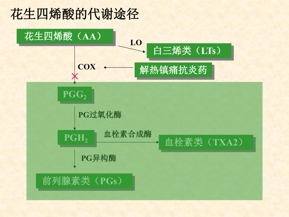 第6章解热镇痛药和非甾体抗炎药课件.ppt_第3页