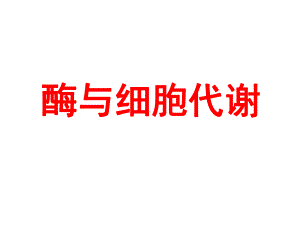 酶与细胞代谢课件.ppt