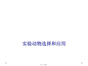 实验动物选择和应用课件.ppt