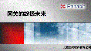 Panabit技术讲解-从头开始了解Panabit剖析课件.ppt