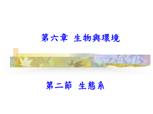 生产者与分解者课件.ppt