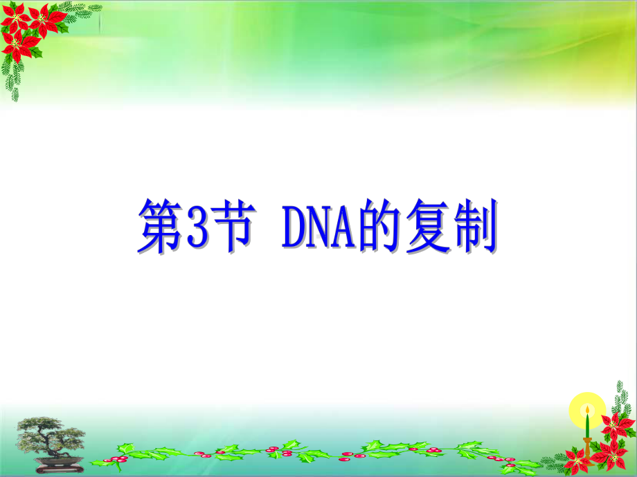 DNA的复制(动画)课件.ppt_第1页