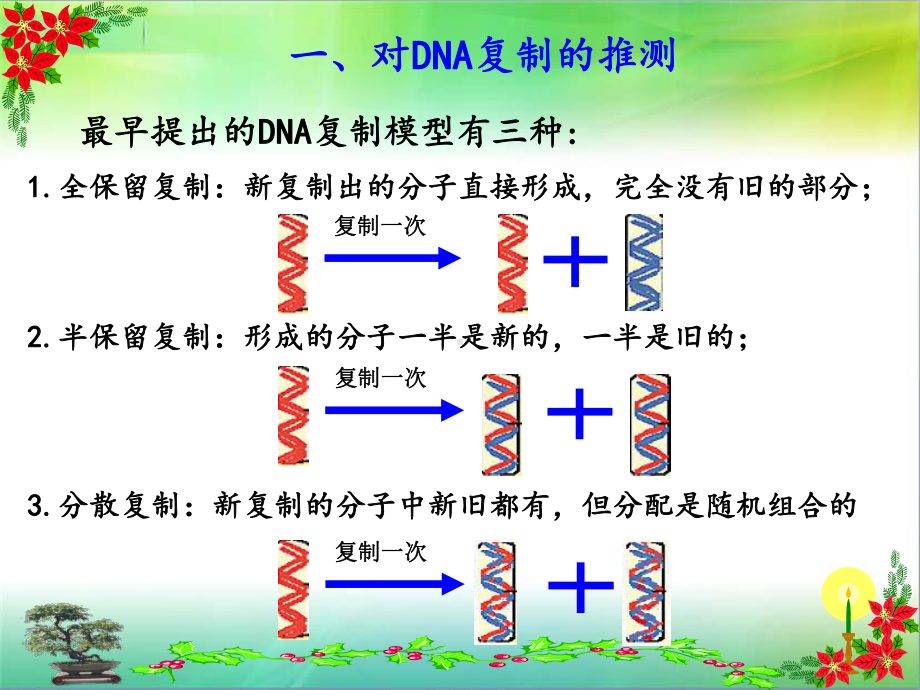 DNA的复制(动画)课件.ppt_第2页