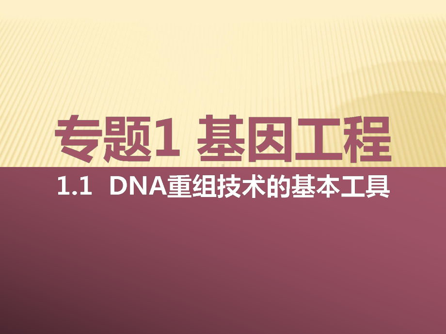 重点高中 生物 课件 高二理科《选修3 11 DNA重组技术的基本工具》.ppt_第1页