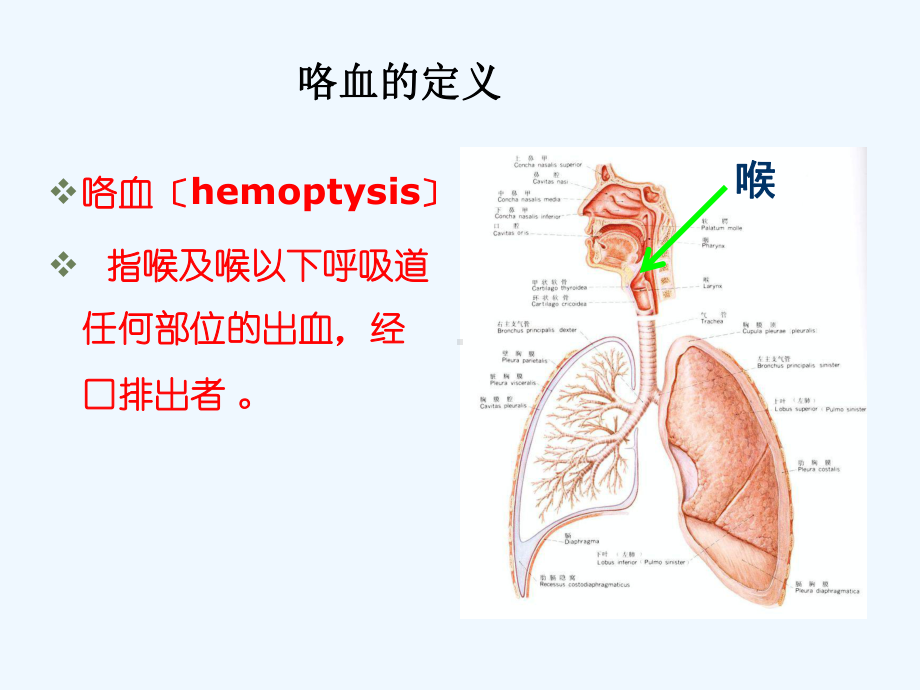 大咯血紧急急救措施课件.ppt_第2页