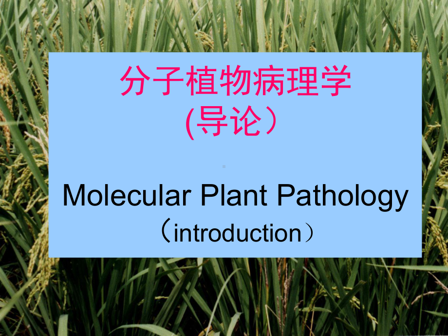 分子植物病理学绪论课件.ppt_第1页