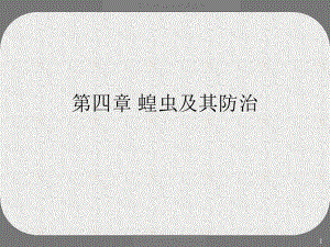 《蝗虫及其防治》课件.ppt