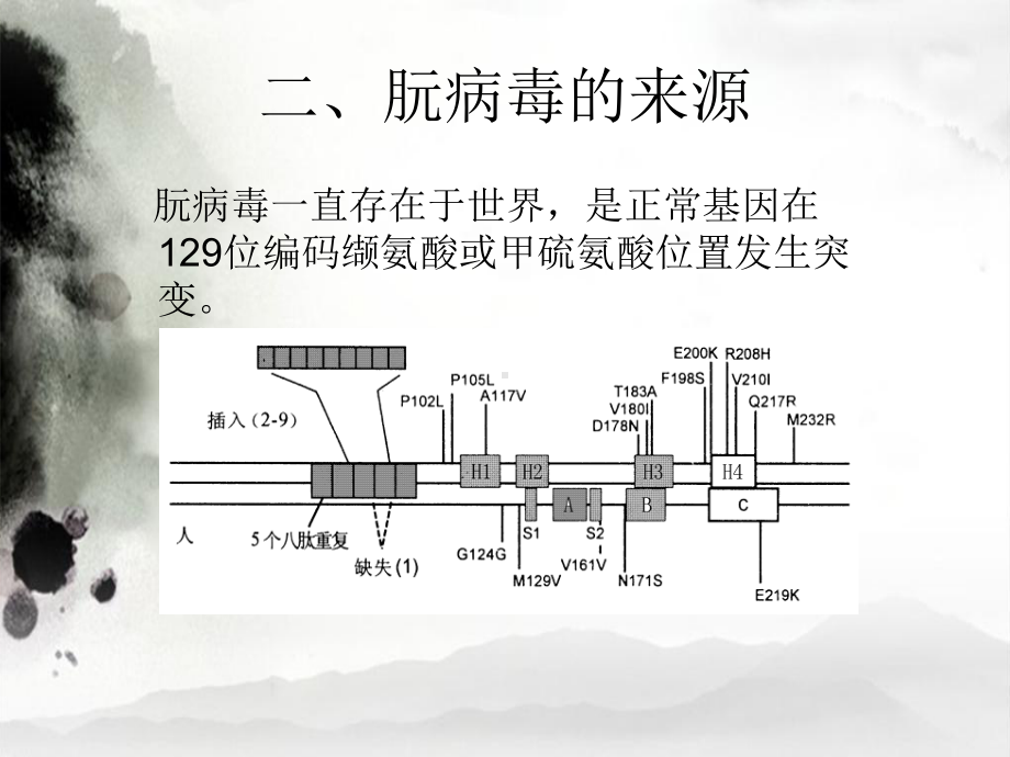 《朊病毒分子生物学》课件.ppt_第3页