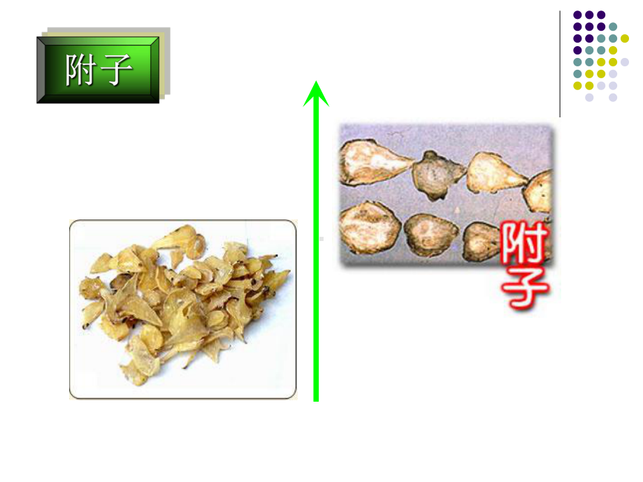 中药药理学-第十三章-温里药[精]课件.ppt_第3页