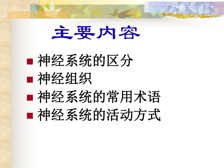 《神经系总论》课件.ppt_第2页