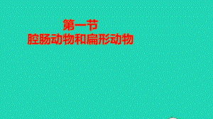 八年级生物上册生物圈中的其他生物第一章动物的主要类群第一节腔肠动物和扁形动物作业课件新人教版.pptx