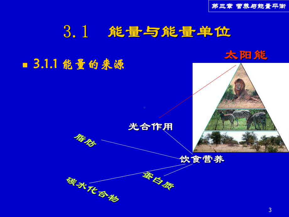 第三章营养与能量平衡1课件.ppt_第3页