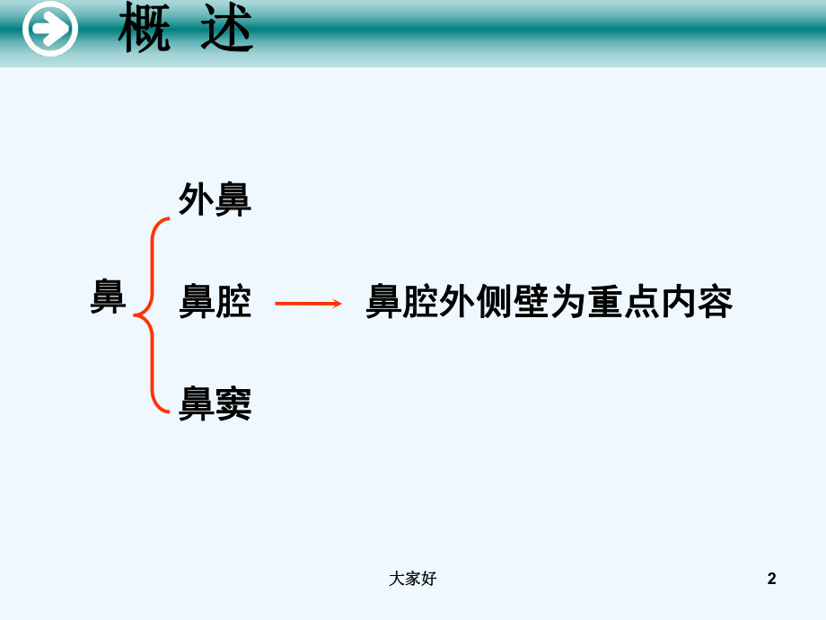 鼻的应用解剖学课件.ppt_第2页