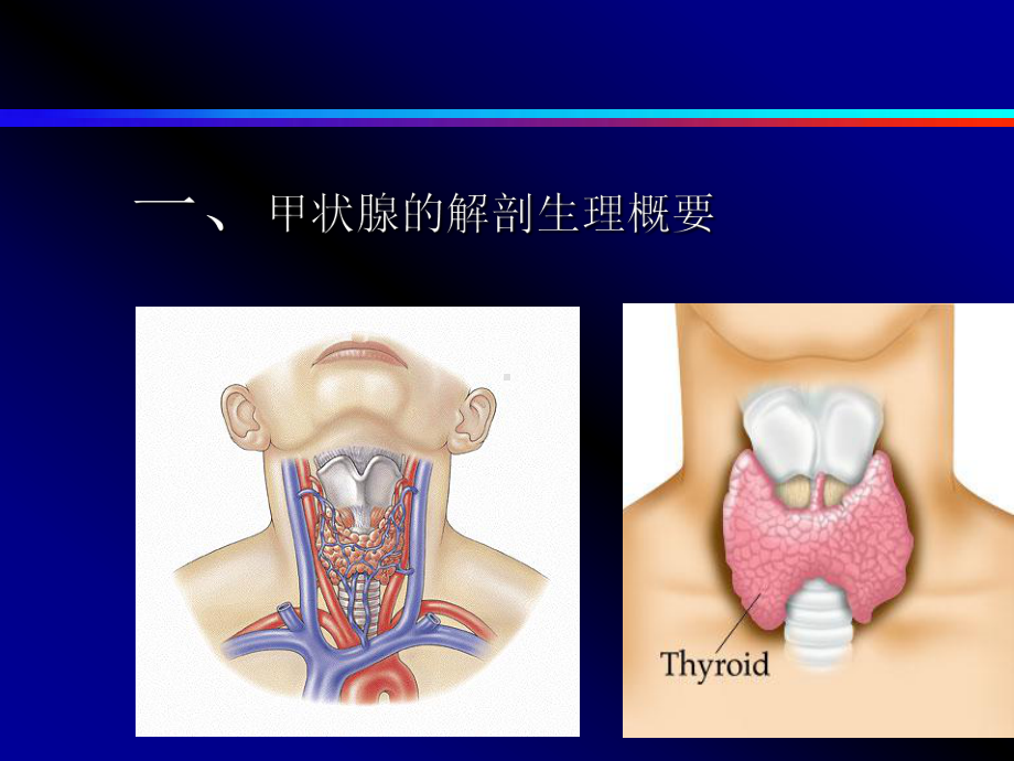 《甲状腺癌的护理》课件.ppt_第2页