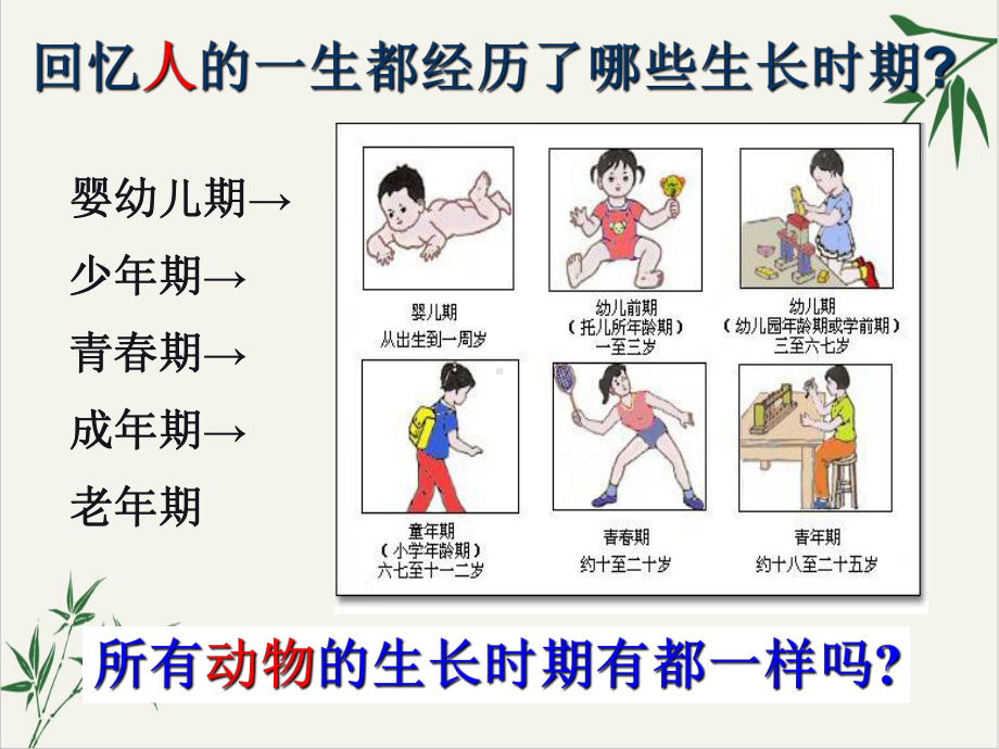 动物的生长期浙教版七级科学下册课件-整理.ppt_第1页