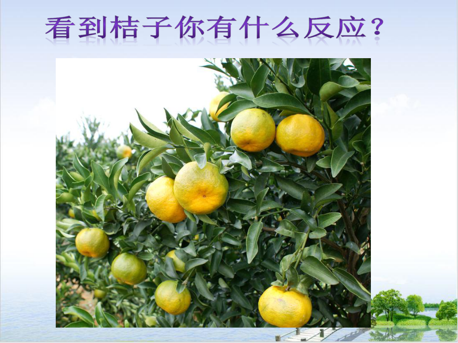 八年级下科学《植物生命活动的调节》优质课件浙教版.ppt_第2页